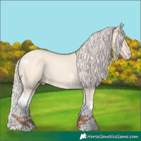 Horse Color:Silver Classic Champagne Dun Sabino Tobiano 