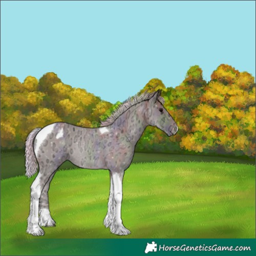 Horse Color:Nacre Silver Black Ice Tobiano Appaloosa 