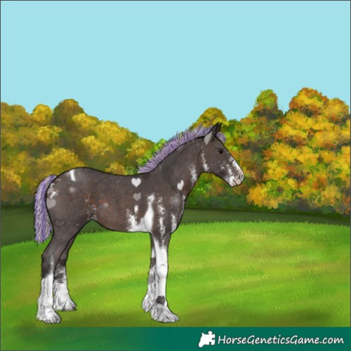 Horse Color:Painted Silver Brown Sabino Tobiano 