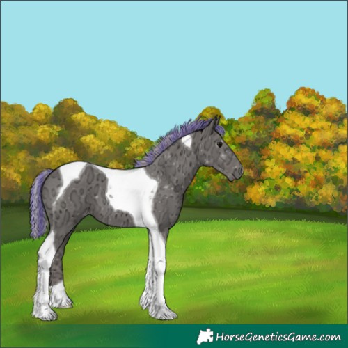 Horse Color:Painted Silver Black Ice Tobiano 