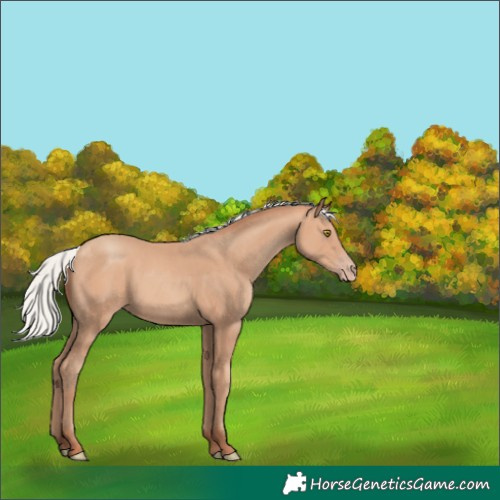 Horse Color:Silver Amber Champagne