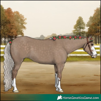 Horse Color:Silver Grullo 