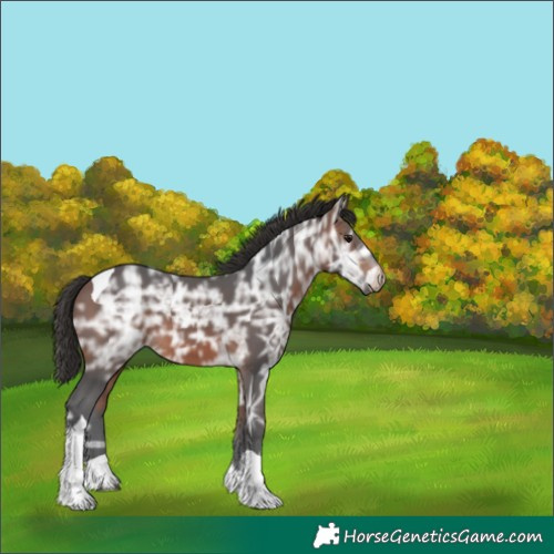 Horse Color:Bay Ice Tobiano 