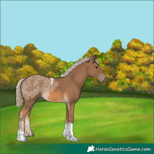 Horse Color:Chocolate Palomino Ice Tobiano 