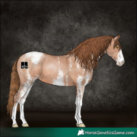 Horse Color:White Spotted Brown Pearl Snowcap 
