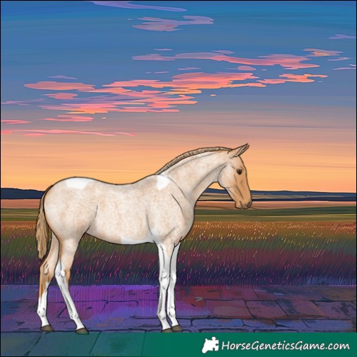 Horse Color:Red Roan Tobiano 