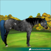 Horse Color:ERROR: UNKNOWN ANOMALY
