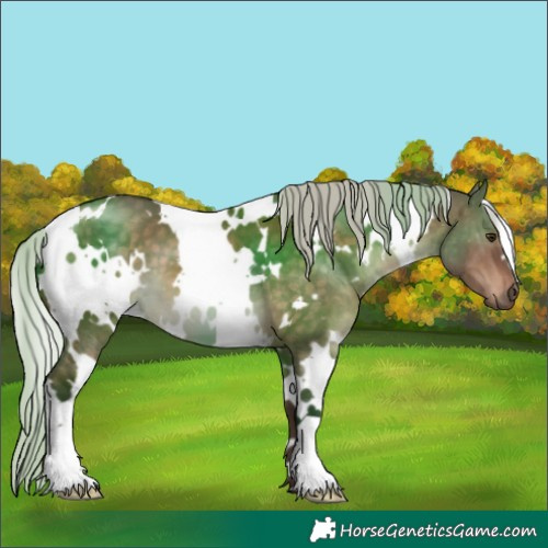 Horse Color:White Spotted Silver Brown Dun 