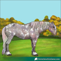 Horse Color:Nacre White Spotted Silver Brown Ice Varnish 