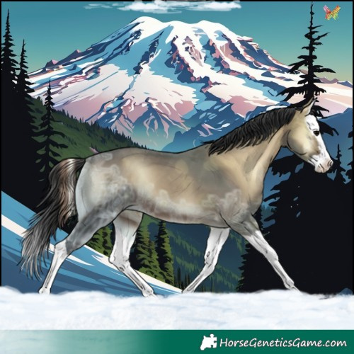 Horse Color:Brown Ice Onyx Splash 