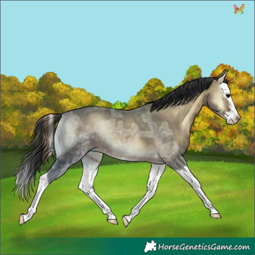 Horse Color:Brown Ice Onyx Splash 