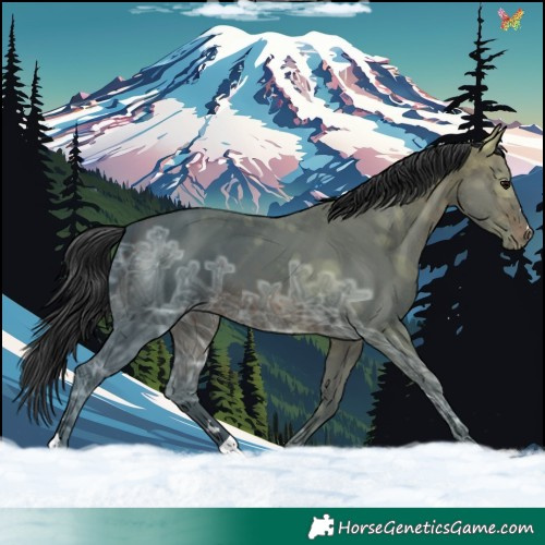 Horse Color:Brown Ice 