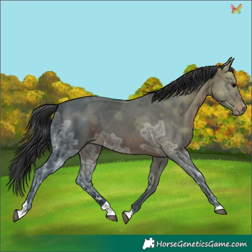 Horse Color:Brown Ice 