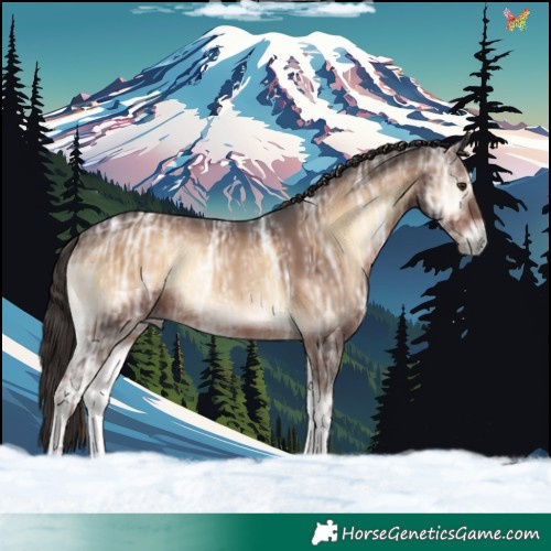 Horse Color:Liver Red Onyx Ice 