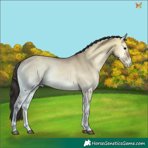 Horse Color:Bay Ice Onyx 