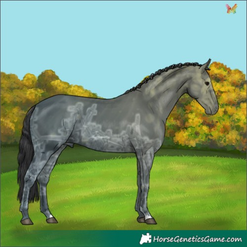 Horse Color:Black Ice 