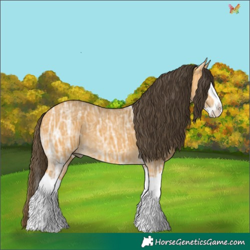 Horse Color:Buckskin Ice Splash 