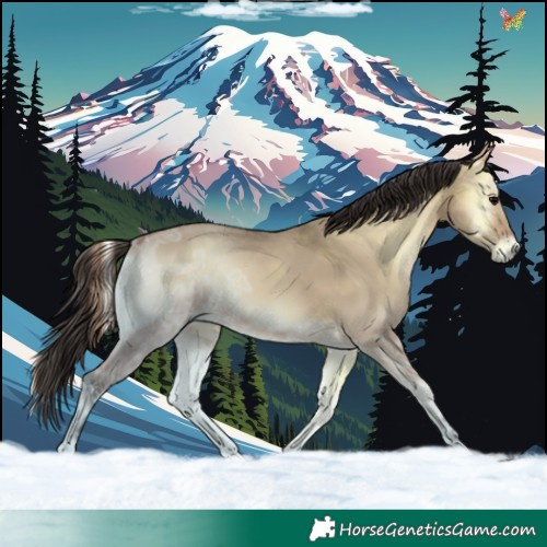 Horse Color:Bay Ice Onyx 