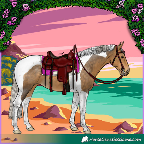 Horse Color:Silver Buckskin Tobiano