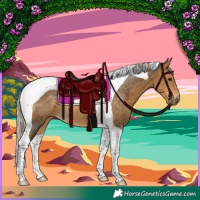 Horse Color:Silver Buckskin Tobiano 