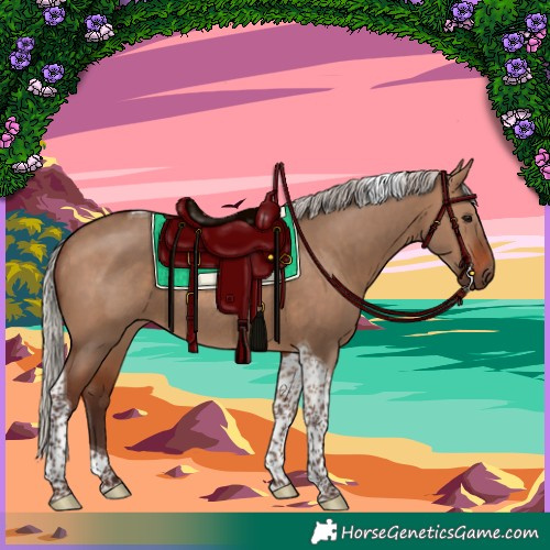 Horse Color:Silver Brown Dun Tobiano Rabicano 