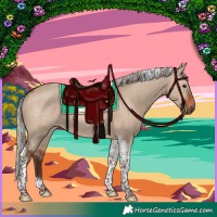 Horse Color:Silver Brown Dun Tobiano Rabicano