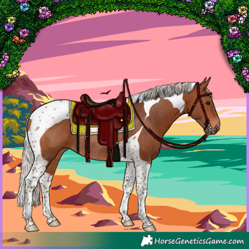 Horse Color:Silver Brown Tobiano Rabicano 