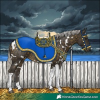 Horse Color:White Spotted Silver Buckskin Tobiano 