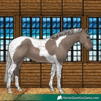 Horse Color:Silver Grullo Tobiano 