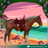 Horse Color:Silver Brown Tobiano Rabicano