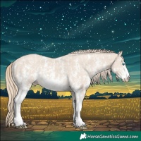 Horse Color:Smoky Creme Sabino and Smoky Creme Sabino