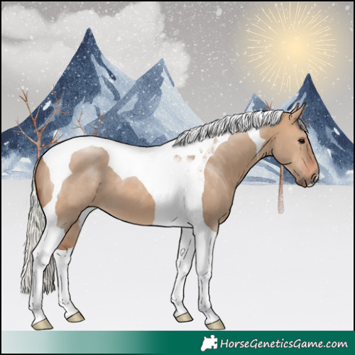 Horse Color:Silver Brown Dun Tobiano