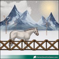 Horse Color:Silver Grullo Roan 