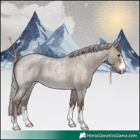 Horse Color:Silver Grullo Roan 