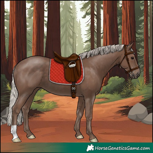 Horse Color:Unknown 