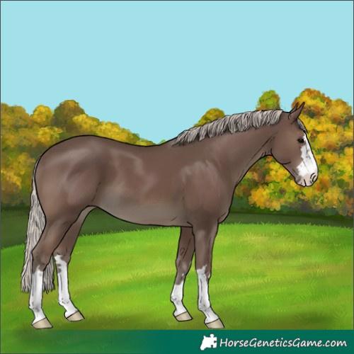 Horse Color:Silver Black 