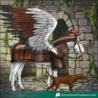 Horse Color:Silver Brown Splash Tobiano Rabicano