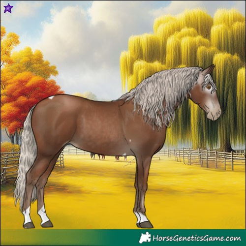Horse Color:Gray Silver Black Pearl Tobiano 