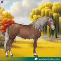 Horse Color:Gray Silver Black Pearl Tobiano 