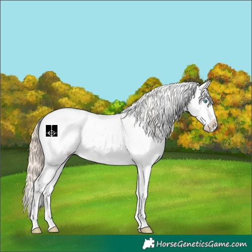 Horse Color:White Spotted Perlino Dun Sabino Splash Appaloosa Rabicano 