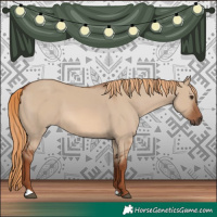Horse Color:Red Dun 