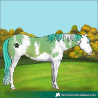 Horse Color:Watercolor Bay Sabino Splash