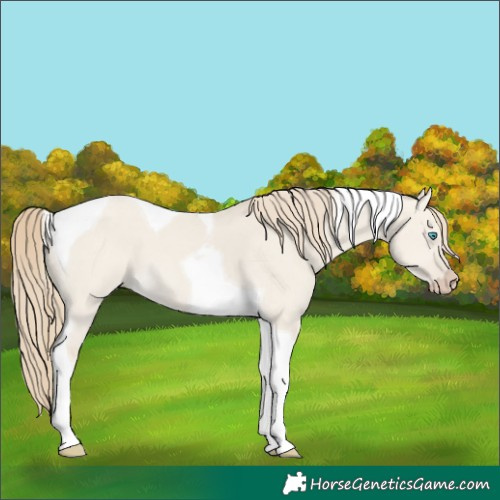 Horse Color:Smoky Creme Dun Tobiano 