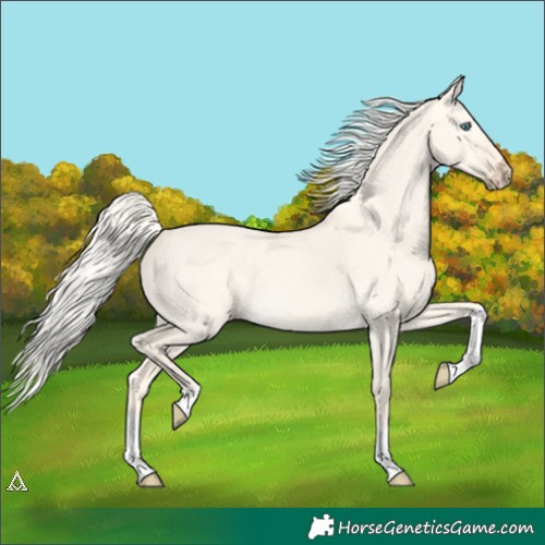 Horse Color:Cremello Dun Tobiano 