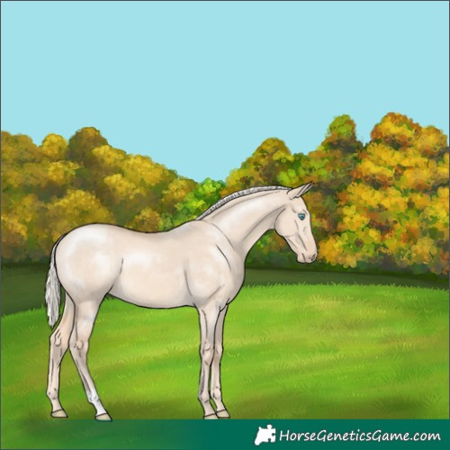 Horse Color:Cremello Dun 