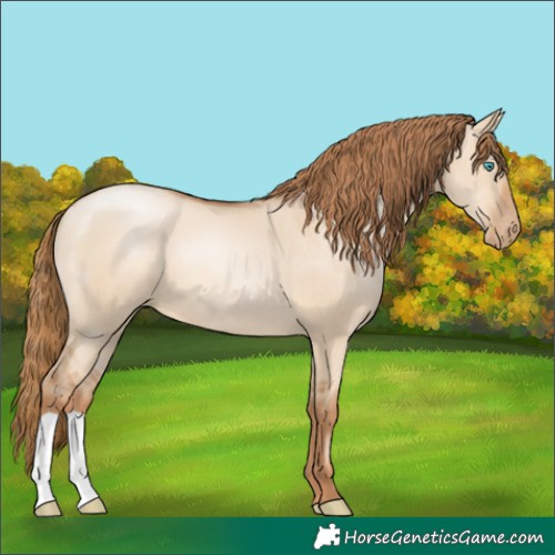 Horse Color:Red Dun Pearl 