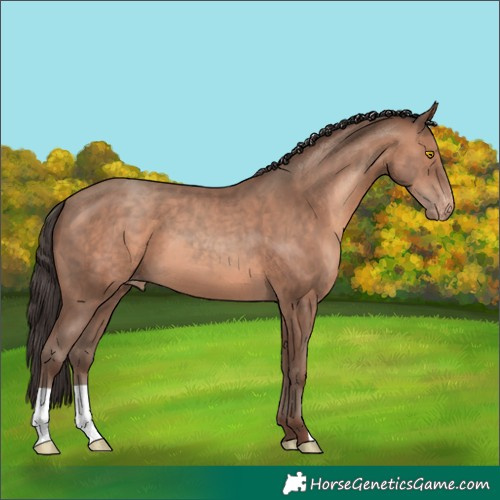 Horse Color:Sable Champagne Blanket 