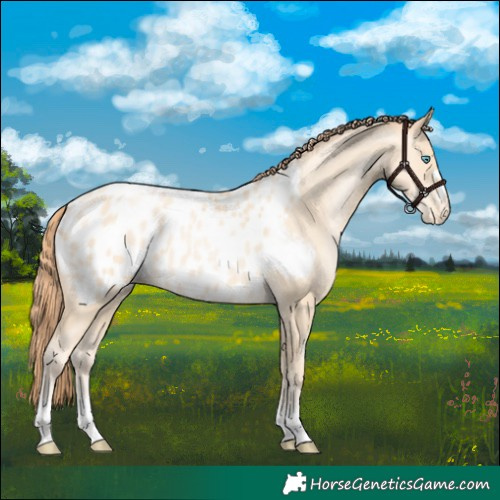 Horse Color:Sable Cream Champagne Pearl Near Leopard 