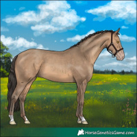 Horse Color:Amber Champagne