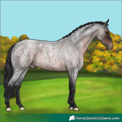 Horse Color:Brown Roan Varnish 